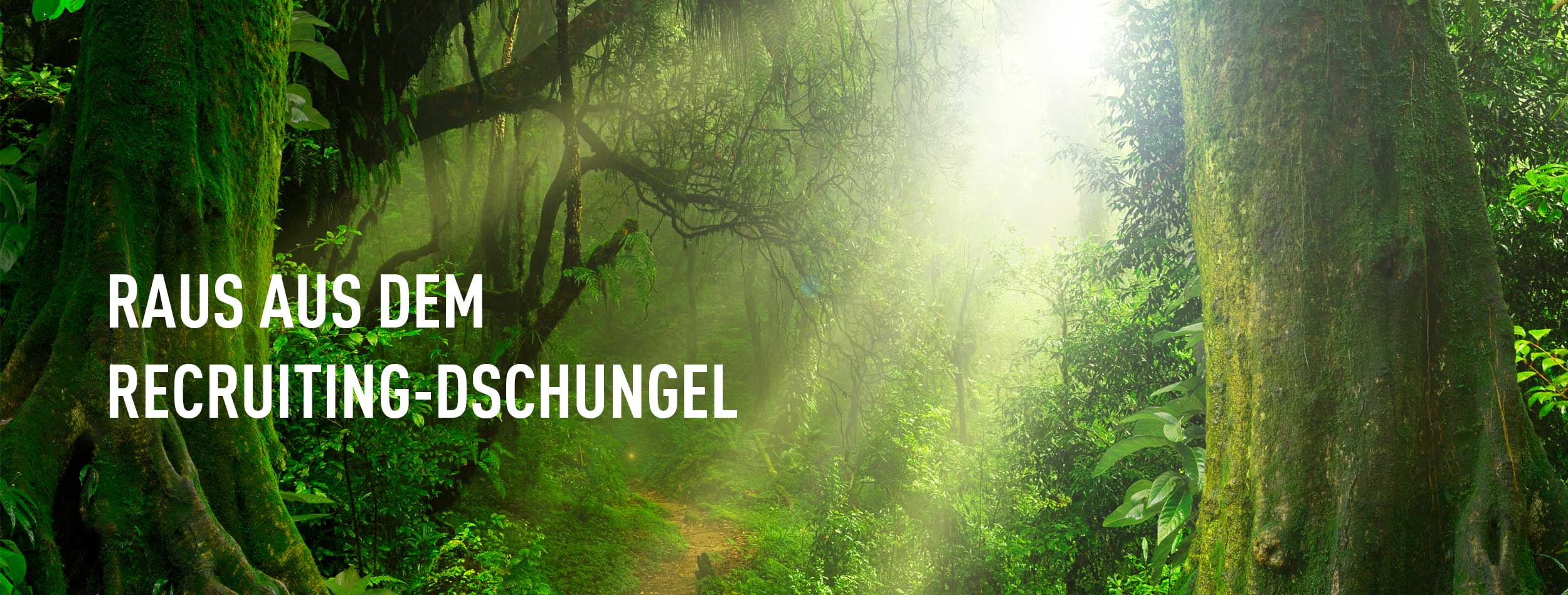 Die einzigartige Kombination aus Employer Branding und Stellenanzeigen schalten erfolgreich Mitarbeiter finden Raus aus dem Recruiting-Dschungel