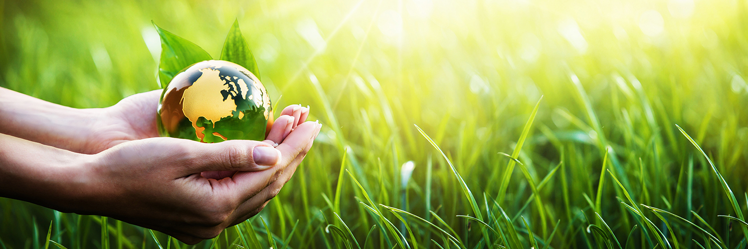 Interview zum Berufsbild des Technikers für Umweltschutz und regenerative Energien Interview zum Berufsbild des Technikers für Umweltschutz und regenerative Energien