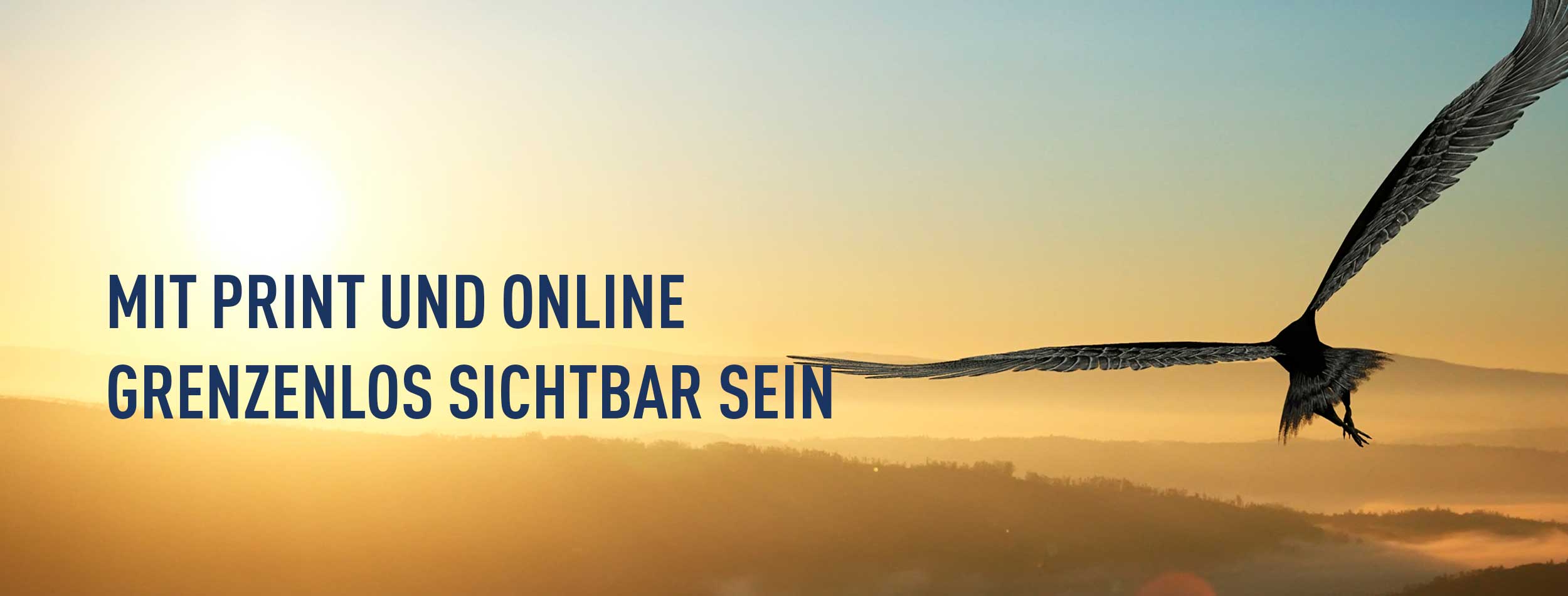 Sichtbarkeit des Employer Branding mit PROFFILE Firmenguide Fliegender Adler ohne Grenzen