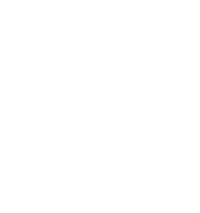 Logo Blume weiße Linien