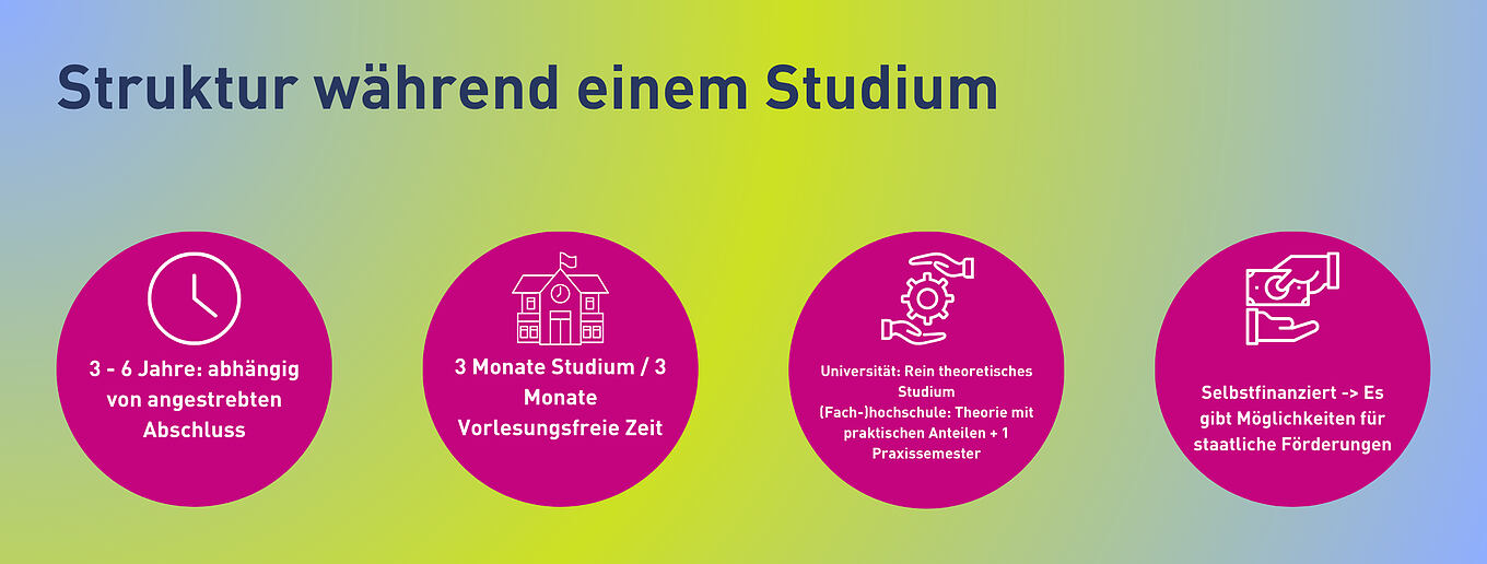 Struktur Studium